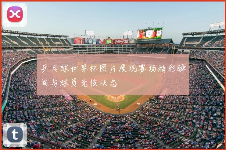 乒乓球世界杯图片展现赛场精彩瞬间与球员竞技状态