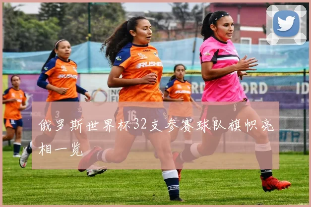 俄罗斯世界杯32支参赛球队旗帜亮相一览