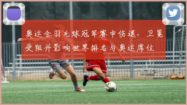 奥运会羽毛球冠军赛中伤退，卫冕受阻并影响世界排名与奥运席位