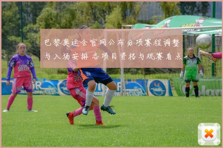 巴黎奥运会官网公布分项赛程调整与入场安排 各项目资格与观赛看点