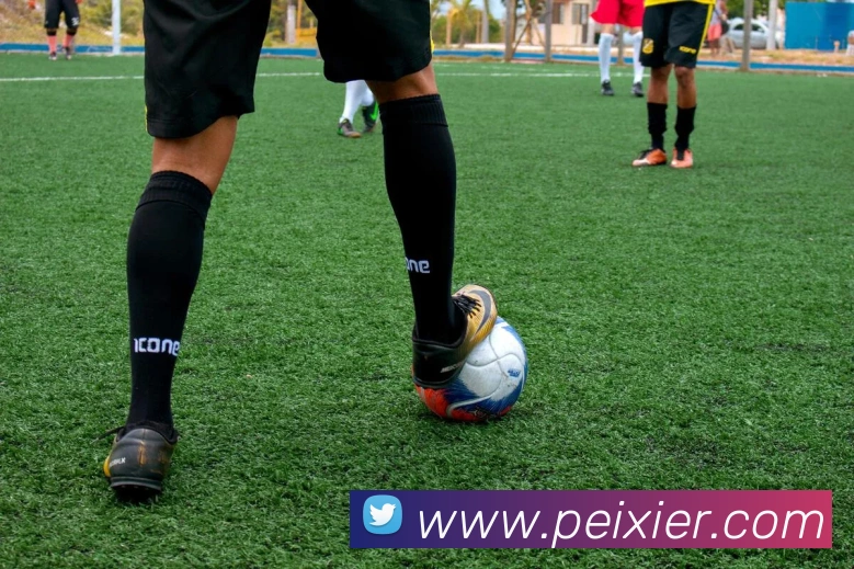 熊猫官网入口平台生态图