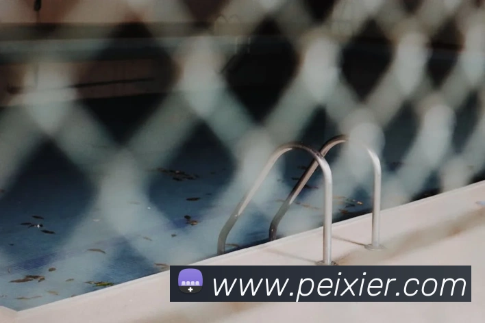 熊猫官网入口APP 封面图